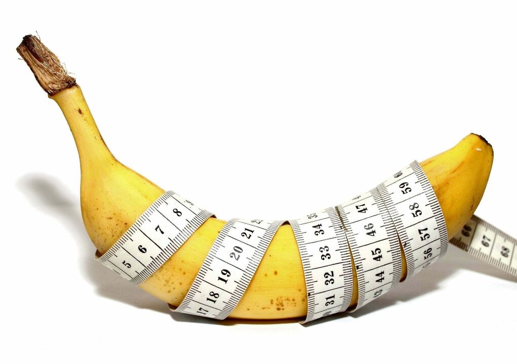 normāls dzimumlocekļa garums